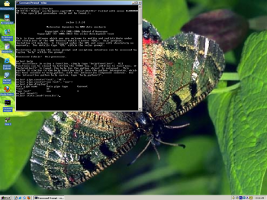Screenshot of the prompt user inteface (UI) running on MS Windows 2000 of the program relax (software for NMR dynamics analyses, specifically: Model-free, NMR relaxation (R1, R2, NOE), reduced spectral density mapping, N-state models, frame order theory).