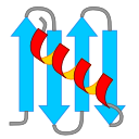 Image molecule